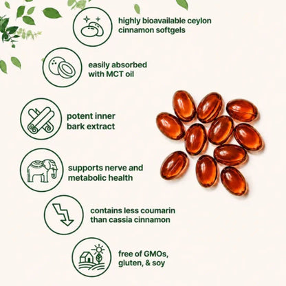 Orlenca™ | Daily Nutritional Support for Balanced Energy & Everyday Wellness